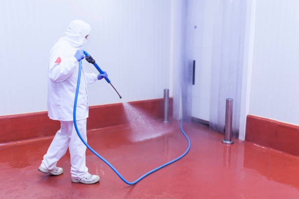 Best Winterizing Services  in Hamburg, AR