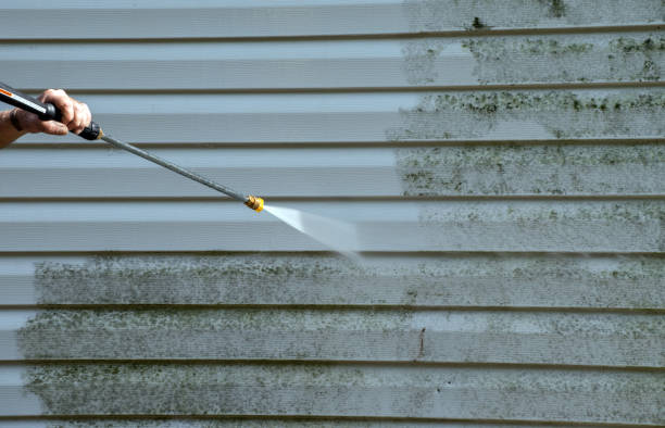 Trusted Hamburg, AR Pressure Washing Services Experts